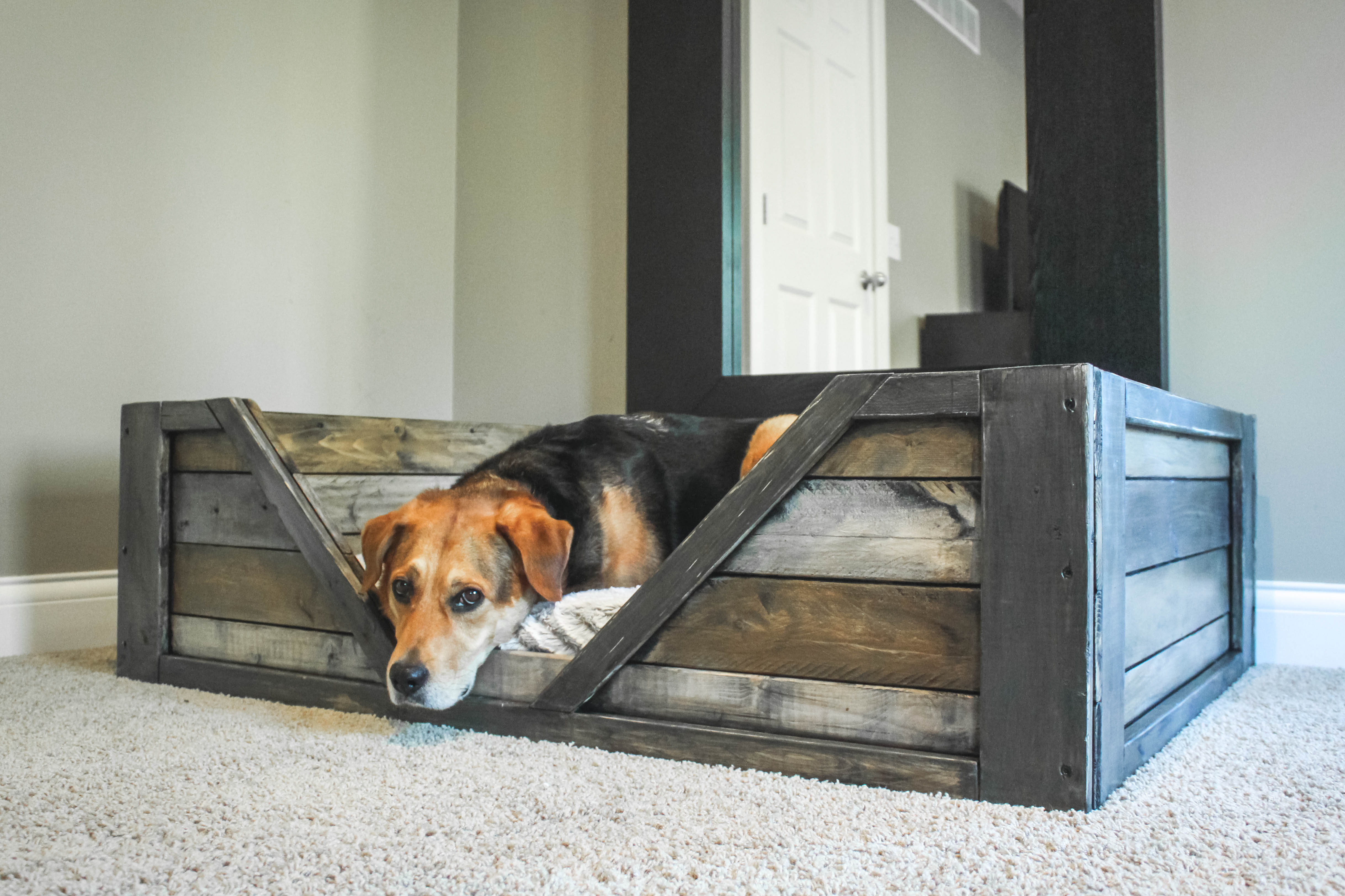 diy dog crate bed